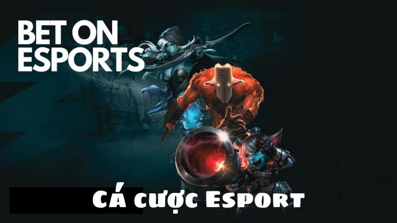 Các Game Esports Phổ Biến Nhất Để Cá Cược