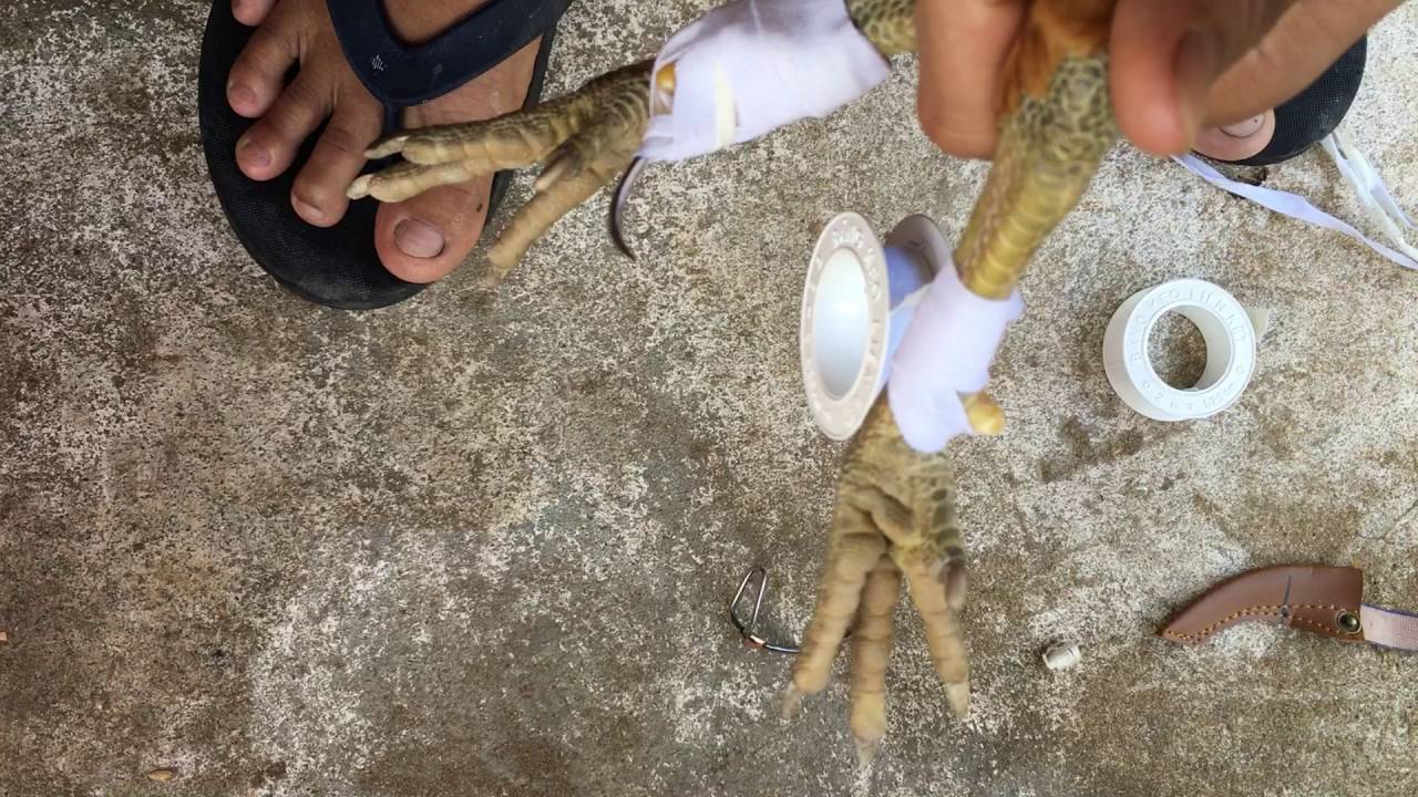 Lưu Ý An Toàn Quan Trọng