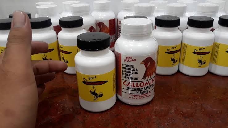 Tiêu Chí Lựa Chọn Thuốc Bổ Cho Gà Đá Cựa Sắt